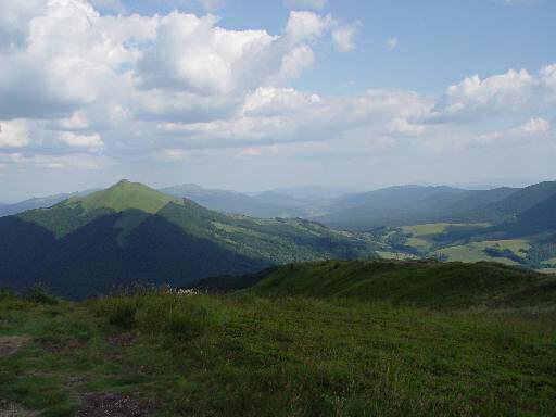 Widok