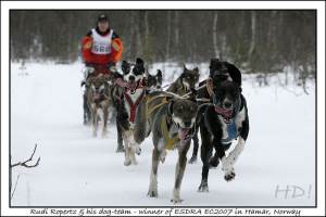 Rudi Ropertz and his dog-team - winner of ESDRA EC 2007 in Hamar, Norway